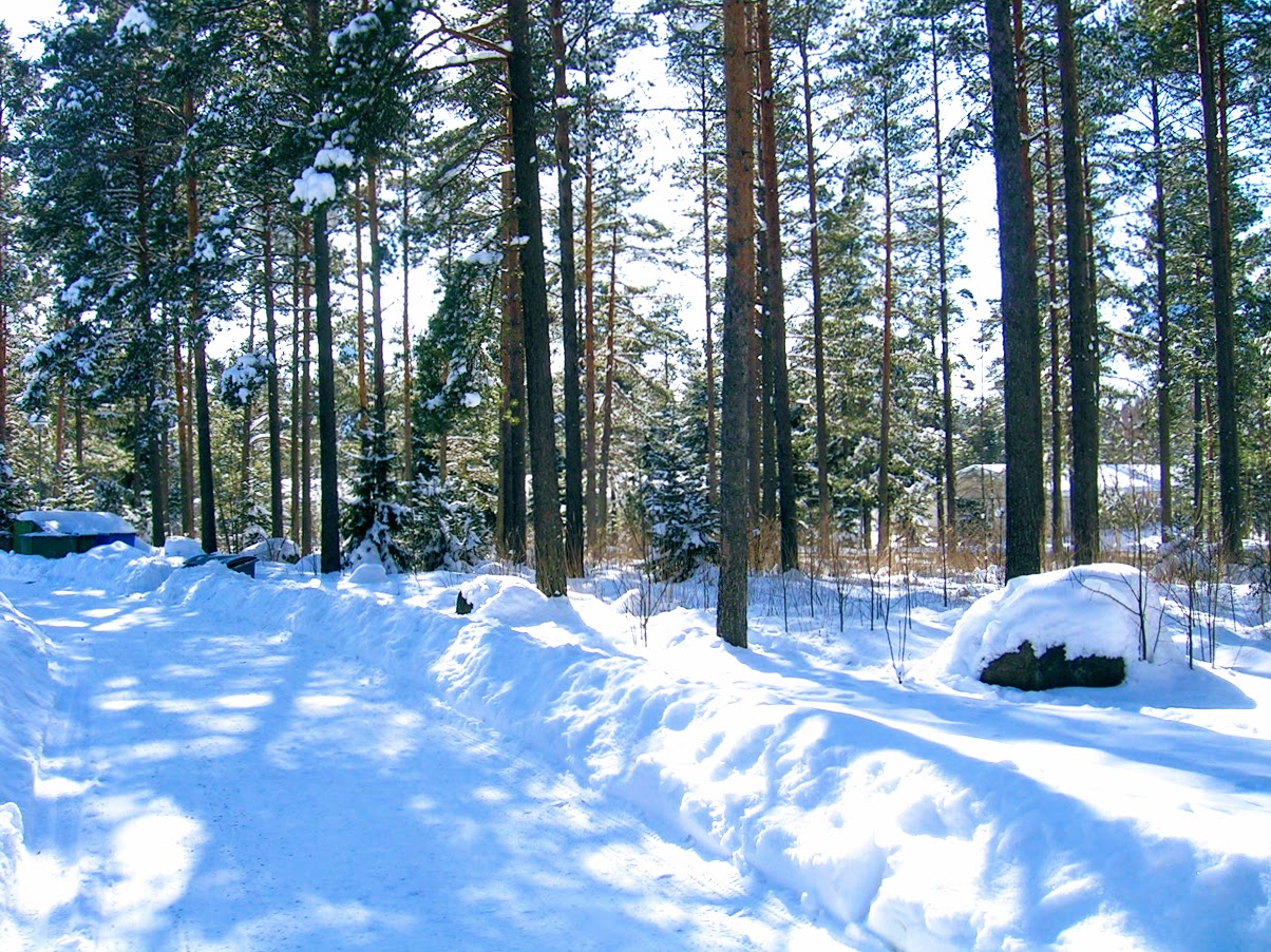 Wintery Finland